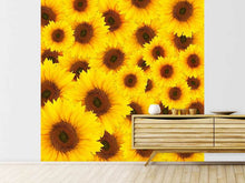 Load image into Gallery viewer, Photo Wallpaper A Bouquet Sunflower

