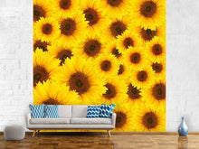 Load image into Gallery viewer, Photo Wallpaper A Bouquet Sunflower
