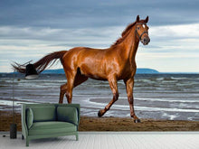 Load image into Gallery viewer, Photo Wallpaper A Thoroughbred At The Sea

