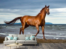 Load image into Gallery viewer, Photo Wallpaper A Thoroughbred At The Sea
