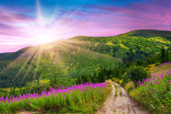 Photo Wallpaper A Summer Landscape At Sunrise