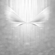 Photo Wallpaper Angel Wings