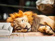 Load image into Gallery viewer, Photo Wallpaper Relaxed Lion

