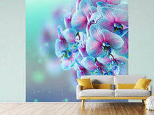 Load image into Gallery viewer, Photo Wallpaper Colored Orchids
