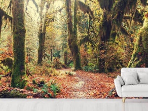 Photo Wallpaper Fairies Forest