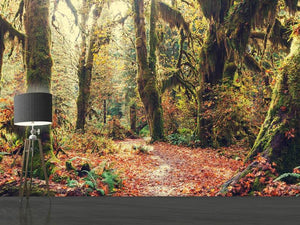 Photo Wallpaper Fairies Forest