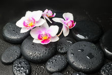 Load image into Gallery viewer, Photo Wallpaper Feng Shui Orchid Zen
