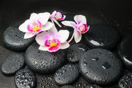 Photo Wallpaper Feng Shui Orchid Zen