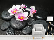 Load image into Gallery viewer, Photo Wallpaper Feng Shui Orchid Zen

