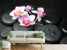Load image into Gallery viewer, Photo Wallpaper Feng Shui Orchid Zen
