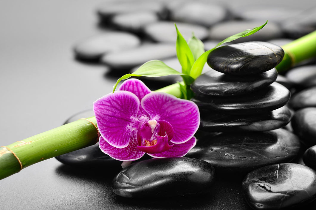 Photo Wallpaper Feng Shui Orchid