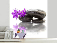 Load image into Gallery viewer, Photo Wallpaper Feng Shui Stones
