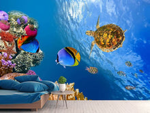 Load image into Gallery viewer, Photo Wallpaper Fish In the Water
