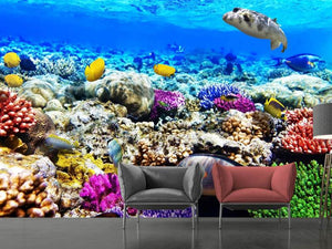Photo Wallpaper Fish Aquarium