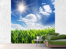Load image into Gallery viewer, Photo Wallpaper Spring Grass
