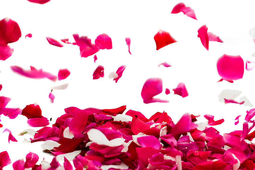 Photo Wallpaper Let It Rain Red Roses For Me