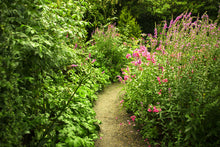 Load image into Gallery viewer, Photo Wallpaper Garden Path
