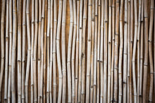 Load image into Gallery viewer, Photo Wallpaper Dried Bamboos
