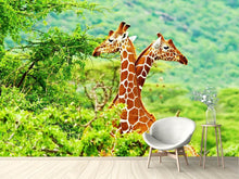 Load image into Gallery viewer, Photo Wallpaper Giraffes Love
