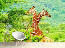 Load image into Gallery viewer, Photo Wallpaper Giraffes Love
