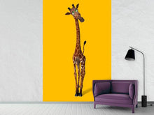 Load image into Gallery viewer, Photo Wallpaper Sweety Giraffes
