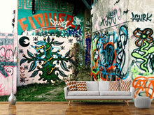Load image into Gallery viewer, Photo Wallpaper Graffiti In The Backyard
