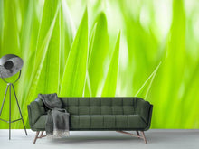 Load image into Gallery viewer, Photo Wallpaper Grass XXL
