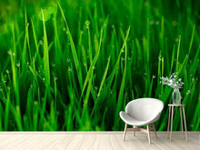 Load image into Gallery viewer, Photo Wallpaper Grass With Morning Dew
