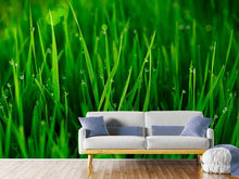 Load image into Gallery viewer, Photo Wallpaper Grass With Morning Dew
