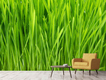 Load image into Gallery viewer, Photo Wallpaper Grass In Morning Dew
