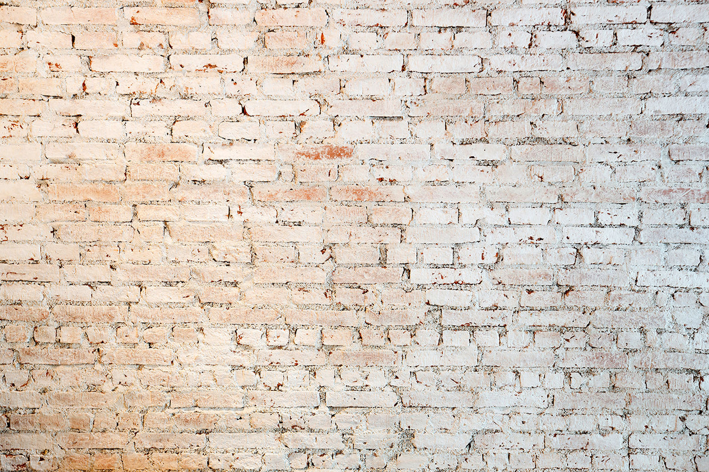 Photo Wallpaper Grunge Wall