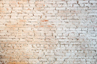 Photo Wallpaper Grunge Wall