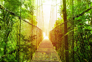 Photo Wallpaper Suspension Bridge