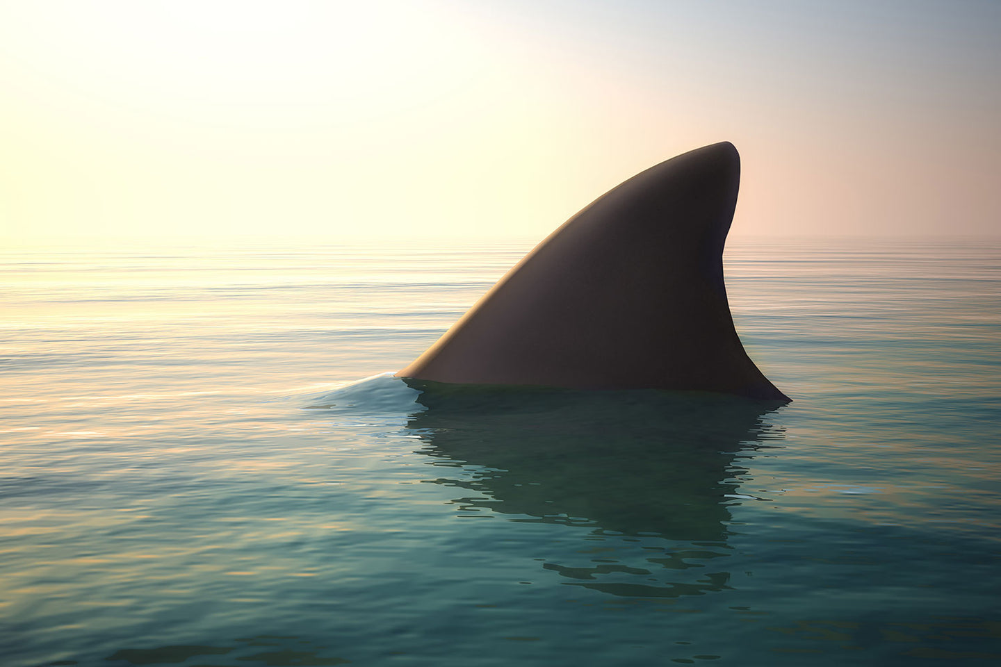 Photo Wallpaper Shark Fin