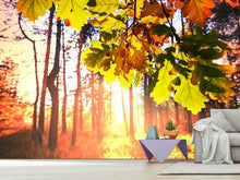 Load image into Gallery viewer, Photo Wallpaper Autumn
