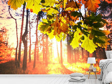 Load image into Gallery viewer, Photo Wallpaper Autumn
