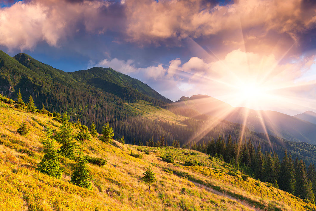 Photo Wallpaper Beginning Of Autumn