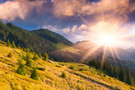 Photo Wallpaper Beginning Of Autumn