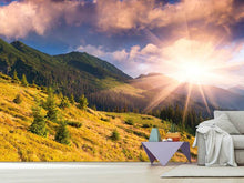 Load image into Gallery viewer, Photo Wallpaper Beginning Of Autumn
