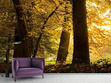 Load image into Gallery viewer, Photo Wallpaper Autumn Leaves
