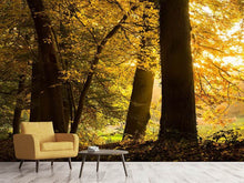 Load image into Gallery viewer, Photo Wallpaper Autumn Leaves
