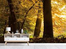 Load image into Gallery viewer, Photo Wallpaper Autumn Leaves
