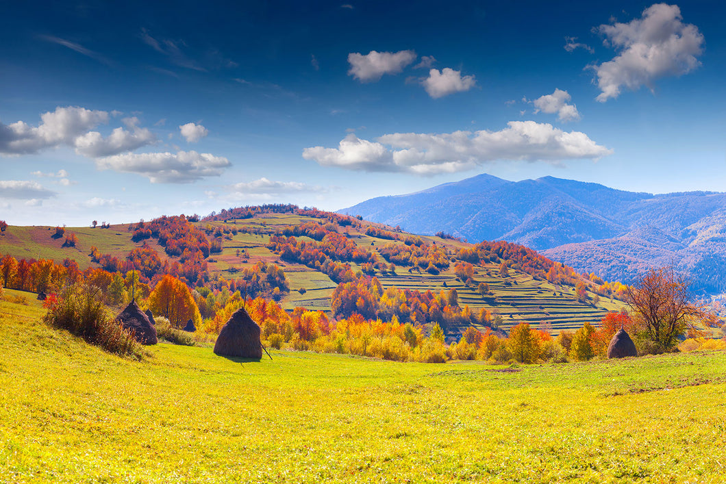 Photo Wallpaper Autumnal Mountain Landscape