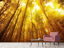 Load image into Gallery viewer, Photo Wallpaper Autumn Forest
