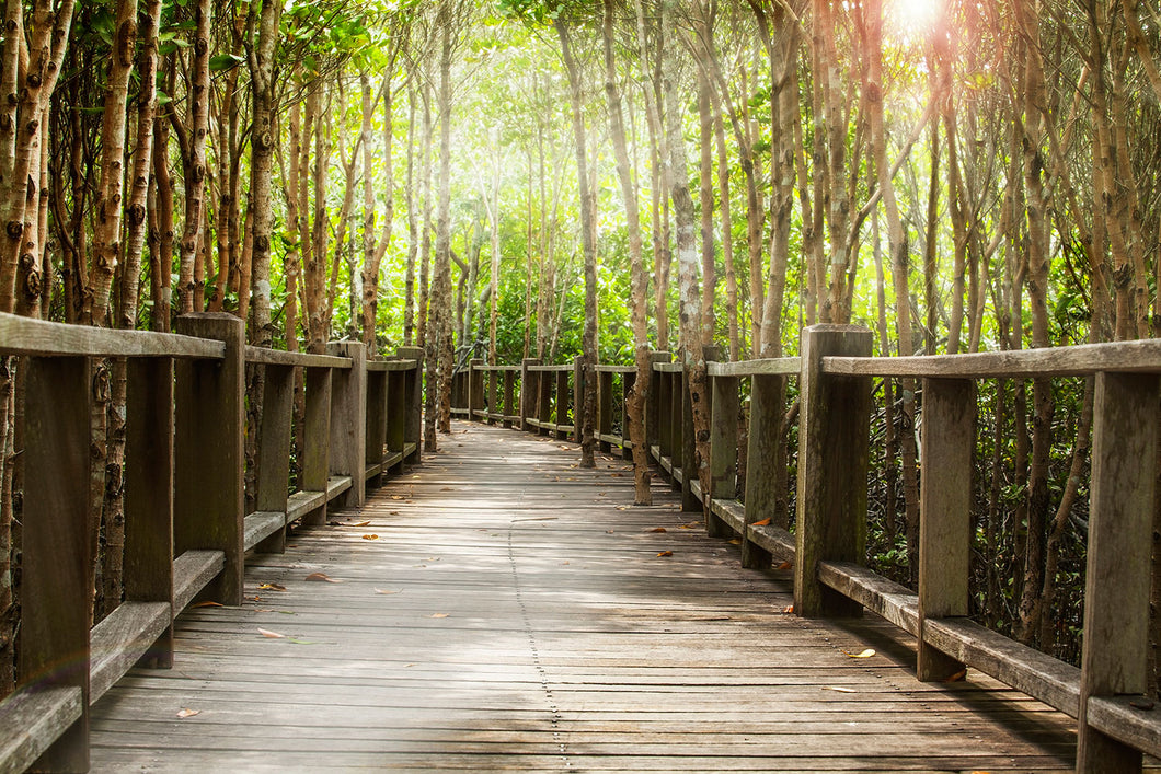 Photo Wallpaper Wooden Bridge