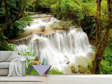 Load image into Gallery viewer, Photo Wallpaper In Treehouse
