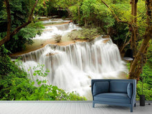 Load image into Gallery viewer, Photo Wallpaper In Treehouse
