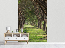 Load image into Gallery viewer, Photo Wallpaper In The Forest
