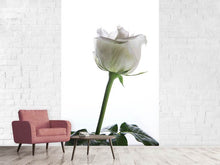 Load image into Gallery viewer, Photo Wallpaper On Behalf Of The Rose
