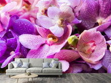 Load image into Gallery viewer, Photo Wallpaper Orchid Paradise
